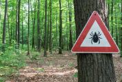 Zecken-Warnschild im Wald Zecken-Warnschild im Wald